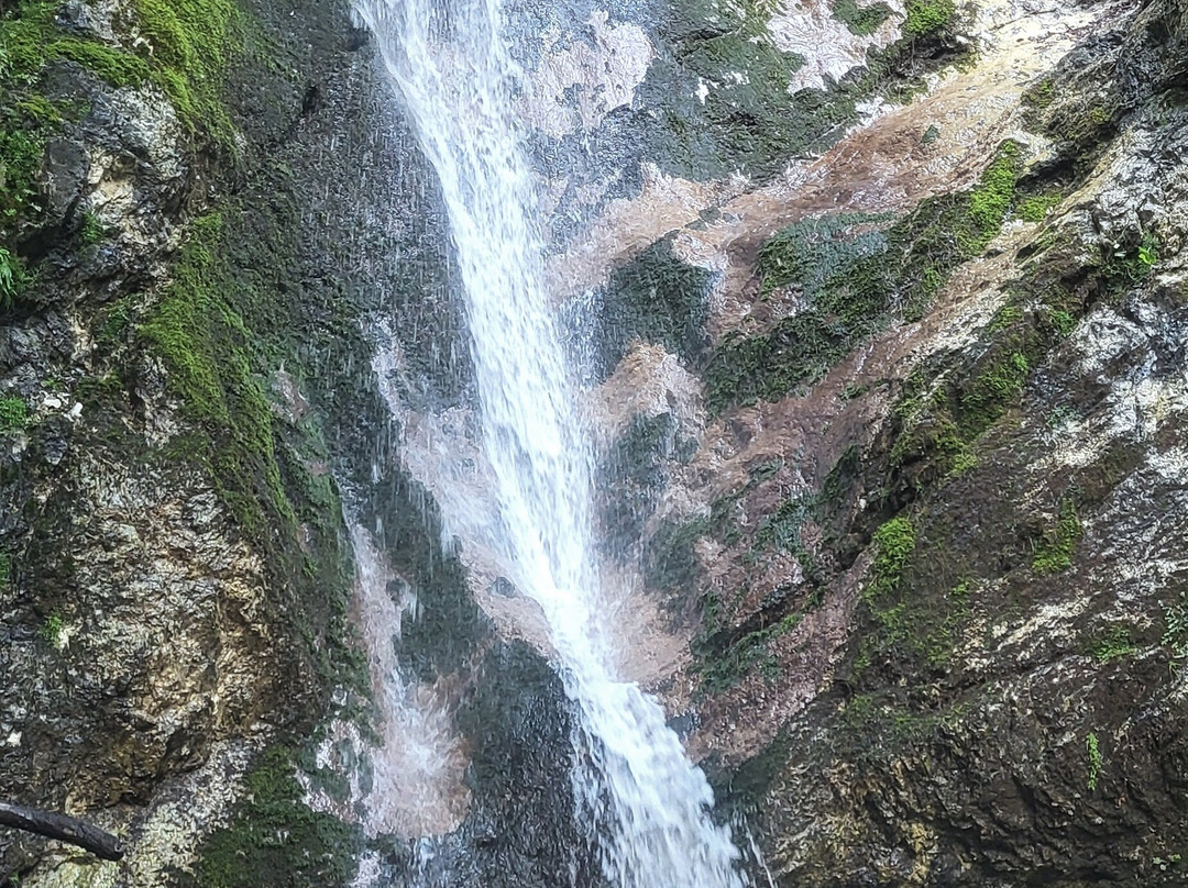 La Camosciara-Civitella Alfedena必去景点