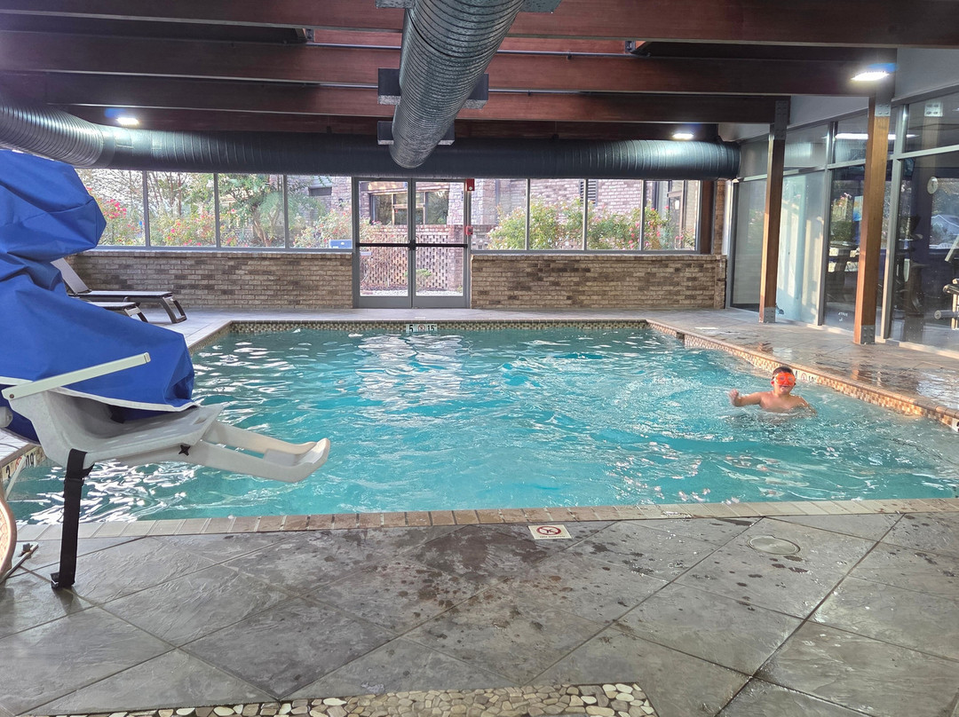 Comfort Inn and Suites Near Lake Guntersville主图