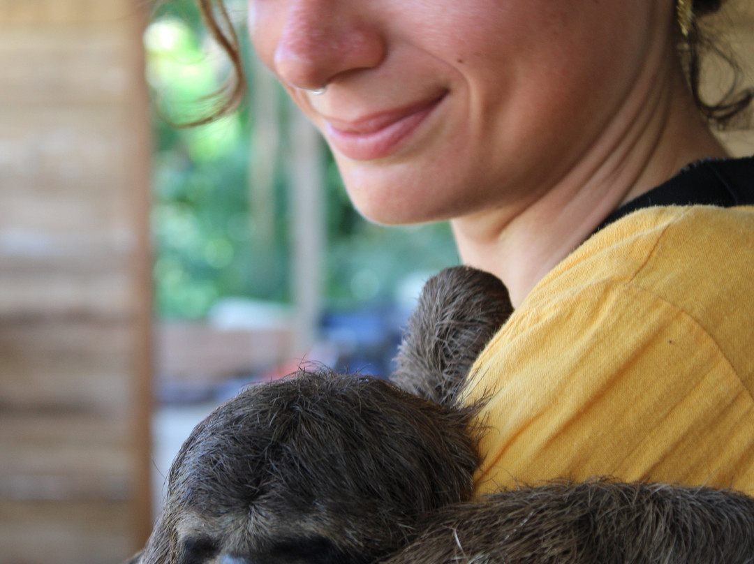 Expeditions George of the Jungle-莱蒂西亚必去景点