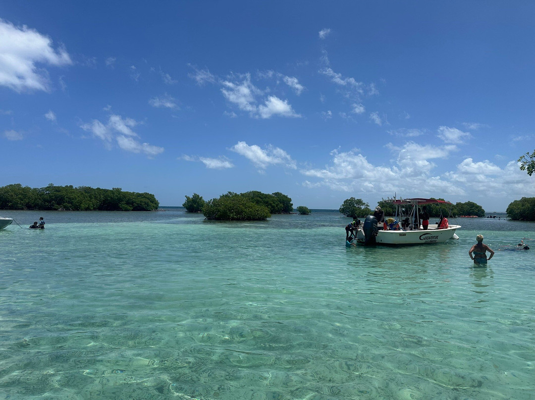 Les Amis De La Mer-Sainte Rose必去景点