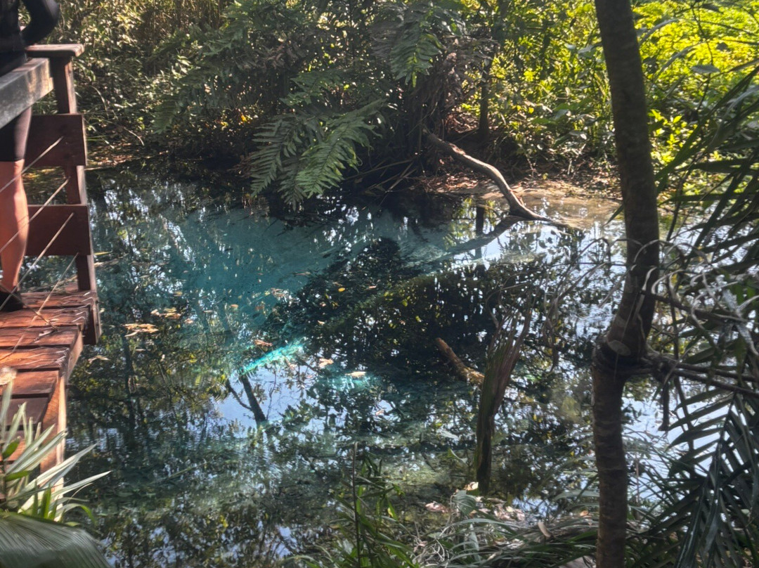 Rio Sucuri-博尼图必去景点