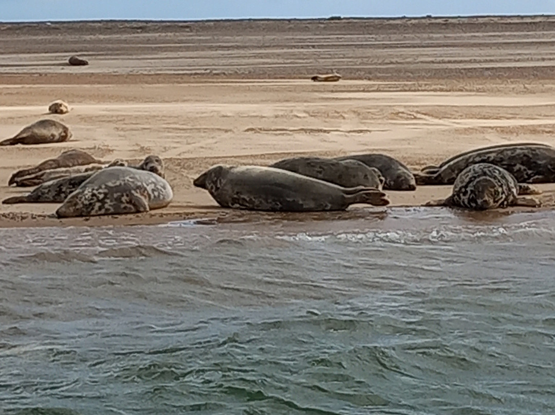Bishops Boats Seal Trips-布莱克尼必去景点
