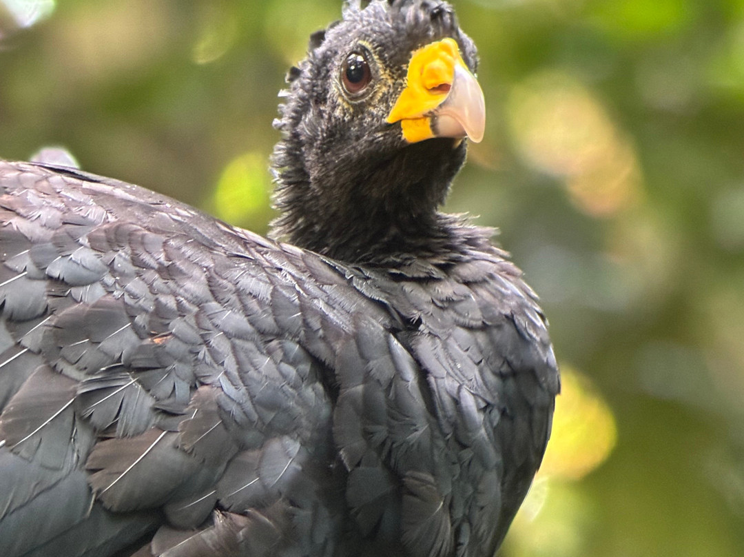 Rancho Tropical-希门尼斯港必去景点