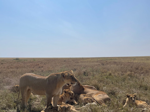 Glitzy Safaris-阿鲁沙必去景点