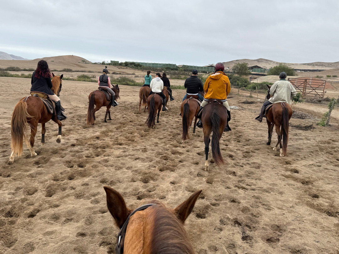Cabalgatas-Santa Cruz de Flores必去景点