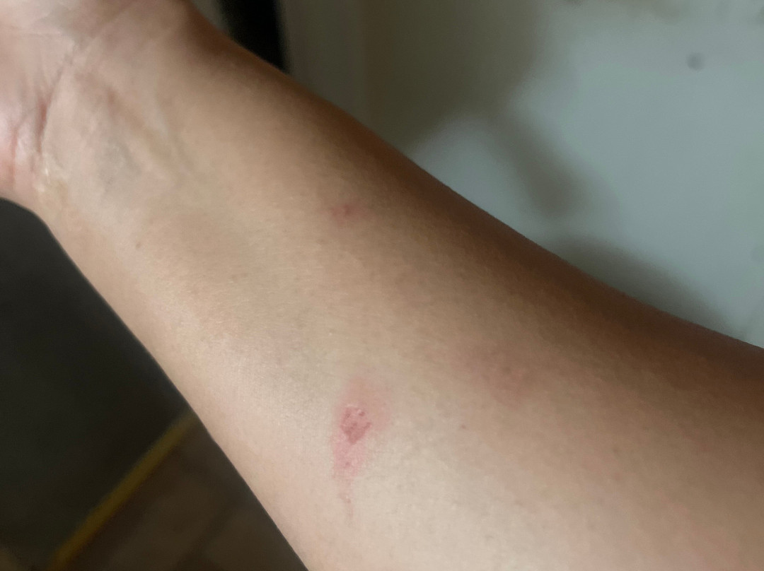 House of Blues-阿纳海姆必去景点