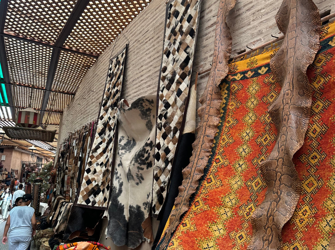 Make Morocco Tours-丹吉尔必去景点