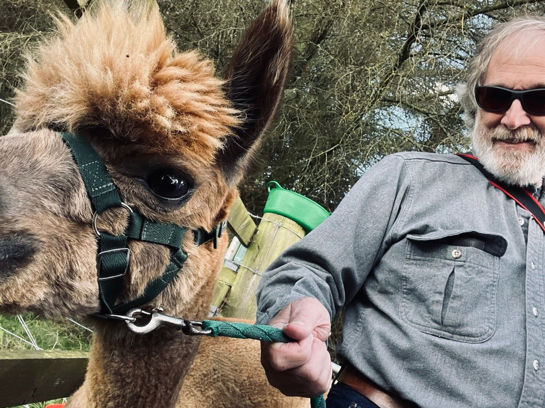 Alpaca Days Out-埃尔金必去景点