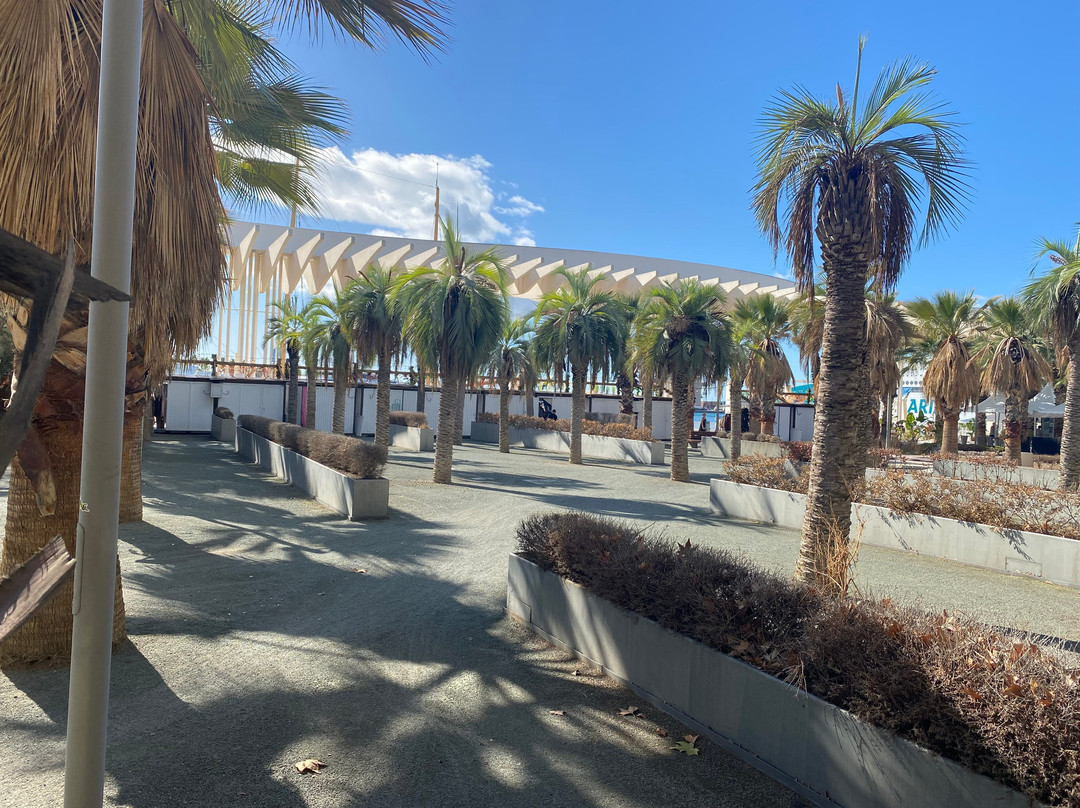 Palmeral de las Sorpresas-马拉加必去景点