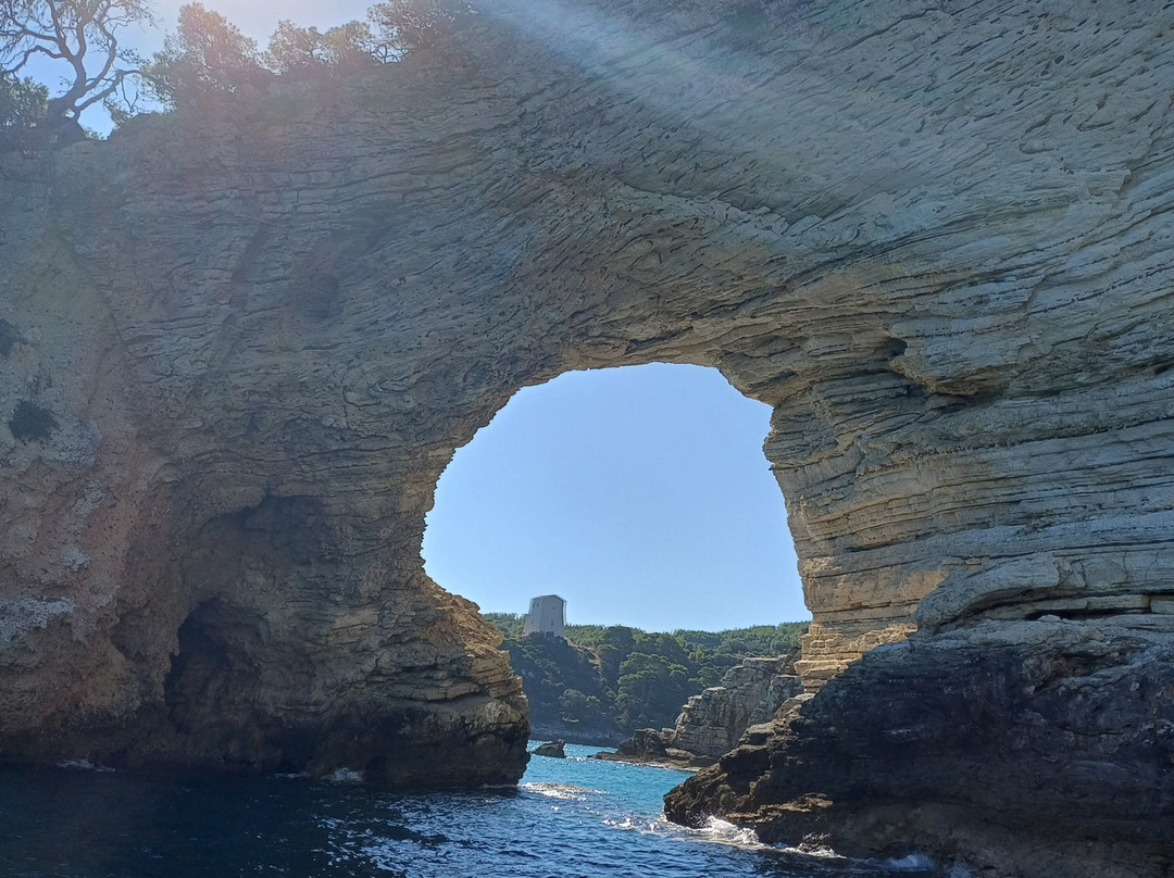 Motobarca Vittorio - Day Tours-佩斯基奇必去景点