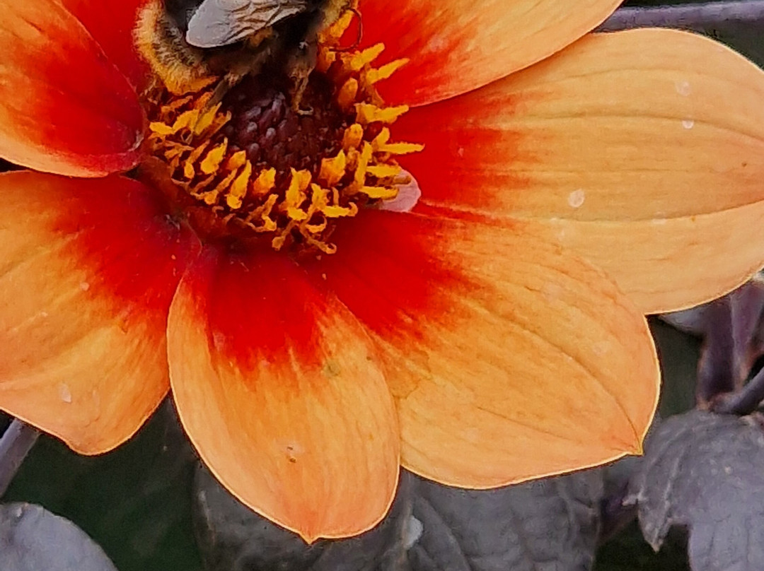 Sledmere House And Gardens-Driffield必去景点