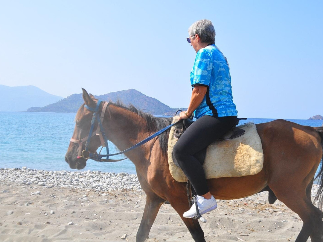 Hamish McTurk-Tours-费特希耶必去景点