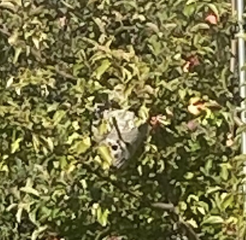 Doles Orchard-Limington必去景点