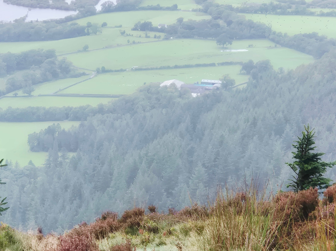 Sandhills Farm B&B主图