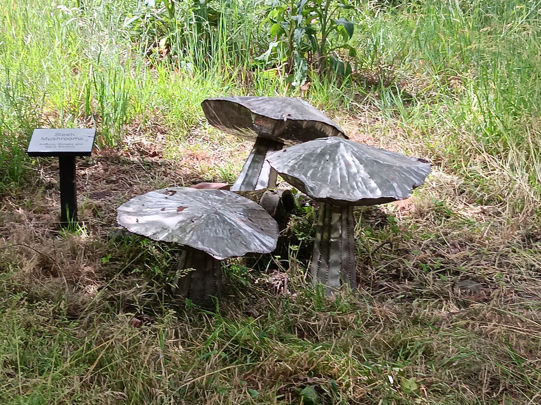 Himalayan Garden & Sculpture Park-Grewelthorpe必去景点