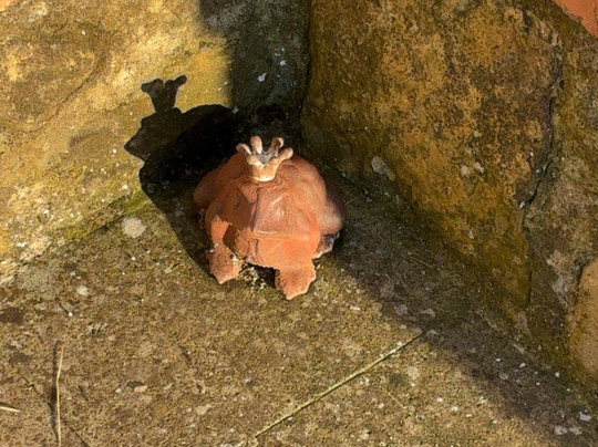 Leonardo Guests House主图