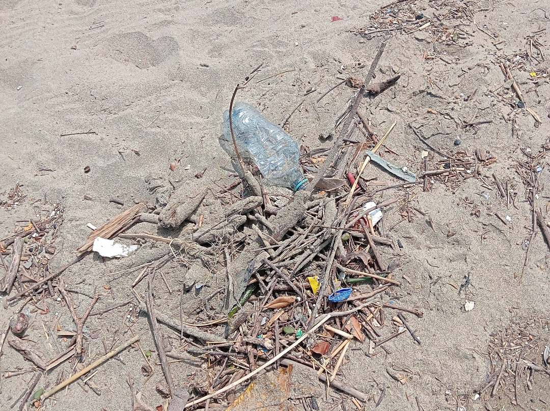 Playa San Pedrito-曼萨尼约必去景点