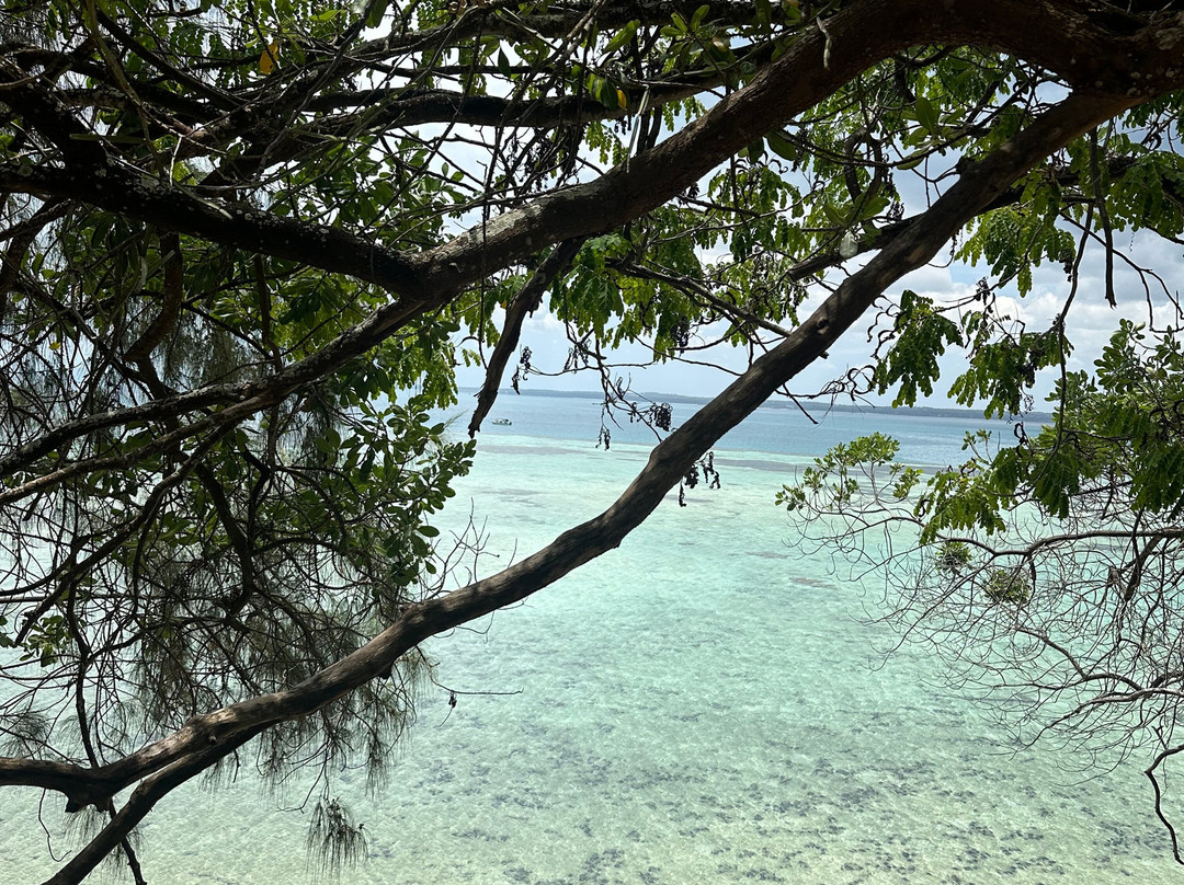Buga Tour Guide Zanzibar-Matemwe必去景点