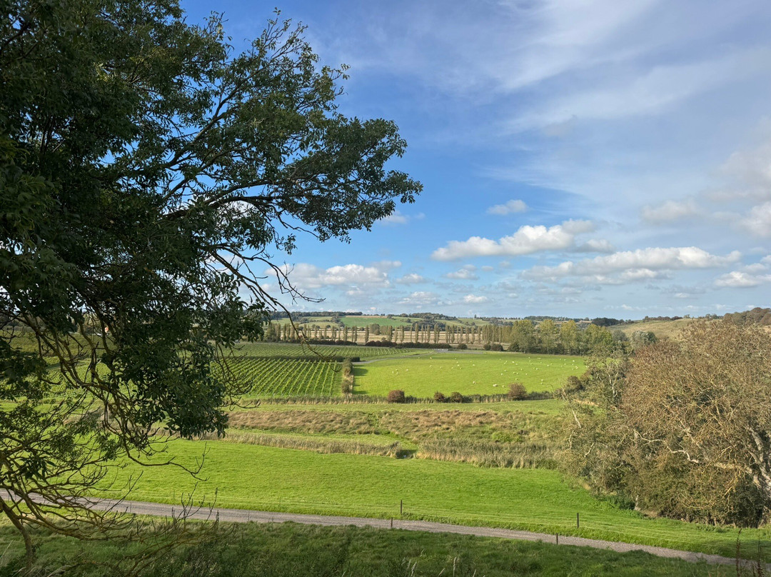 Charles Palmer Vineyards-Winchelsea必去景点