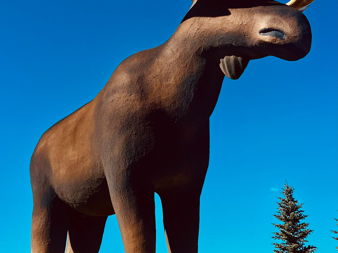 Moose Jaw Trolley-穆斯乔必去景点