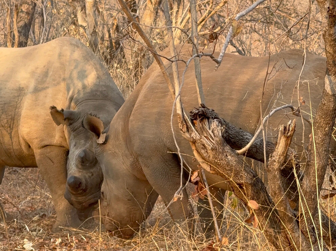 Supertime African Tours-约翰内斯堡必去景点