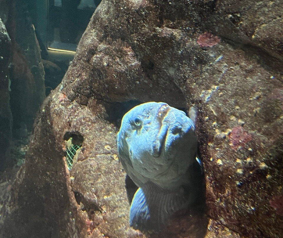 Havets Hus-Lysekil必去景点