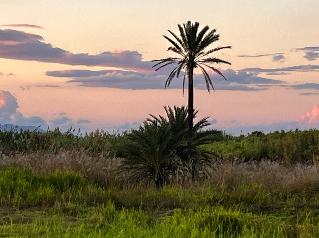 Bernie's Inn @ Bay Bar-提斯里菲必去景点