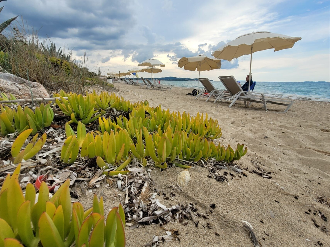 Lena Mare Boutique Hotel主图