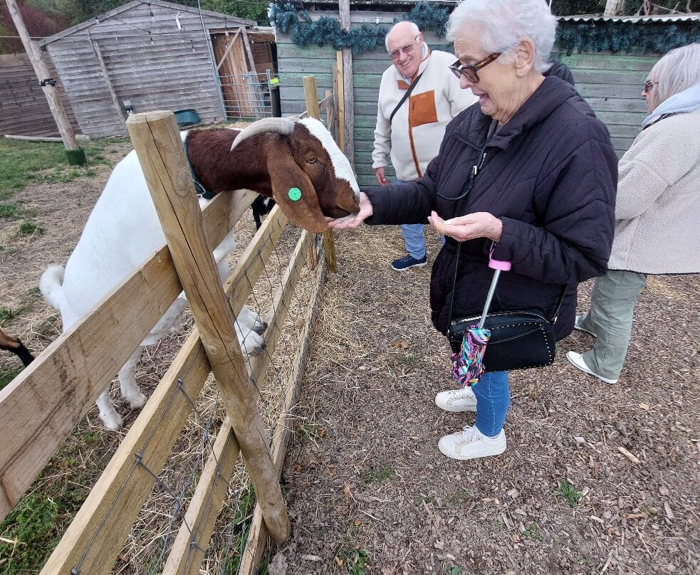 Lower Bush Alpacas-Cuxton必去景点
