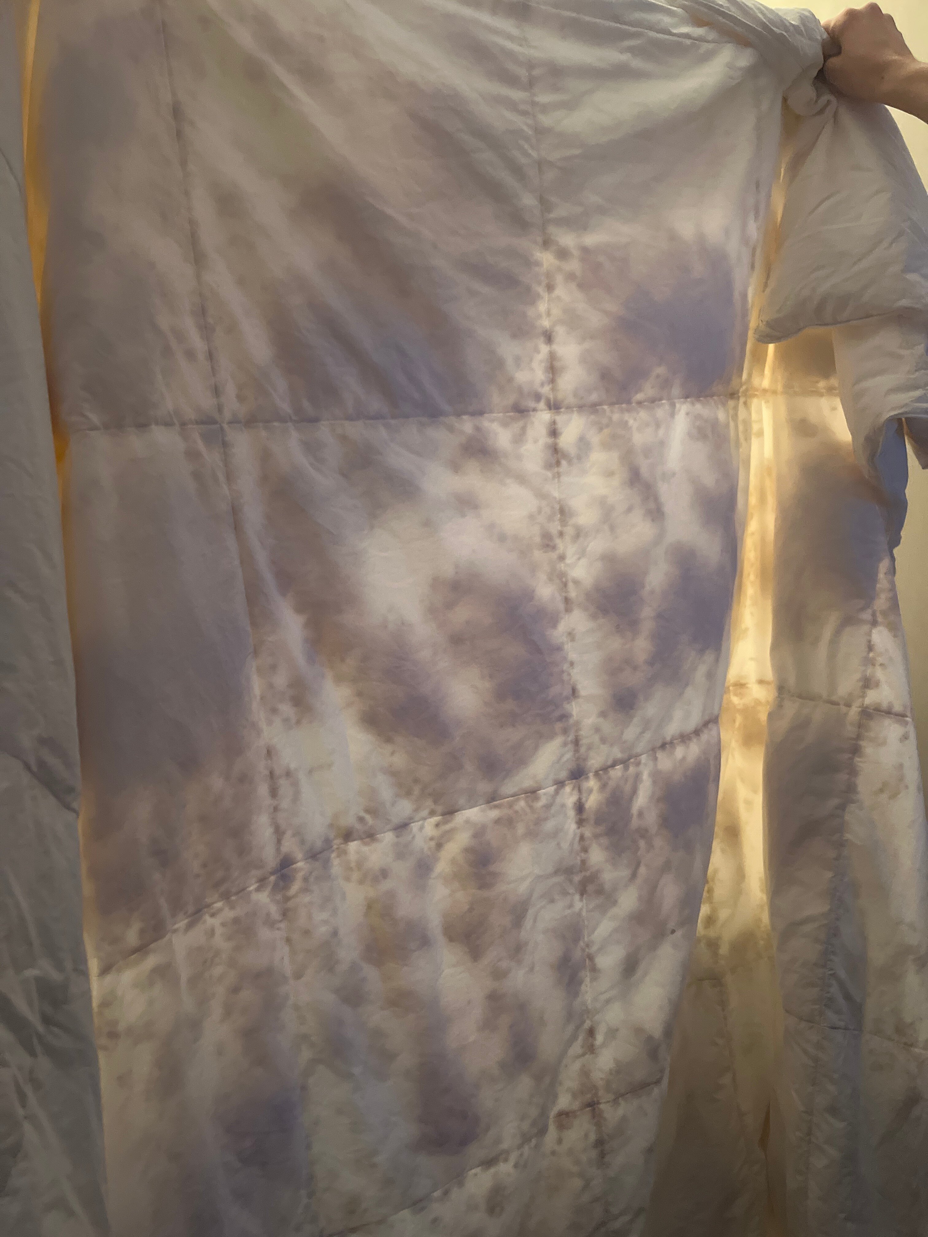 莫德斯托希尔顿逸林酒店-客卧