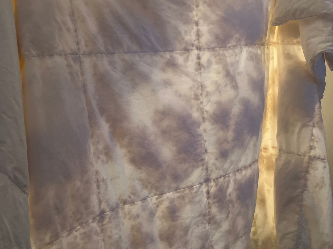 莫德斯托希尔顿逸林酒店主图