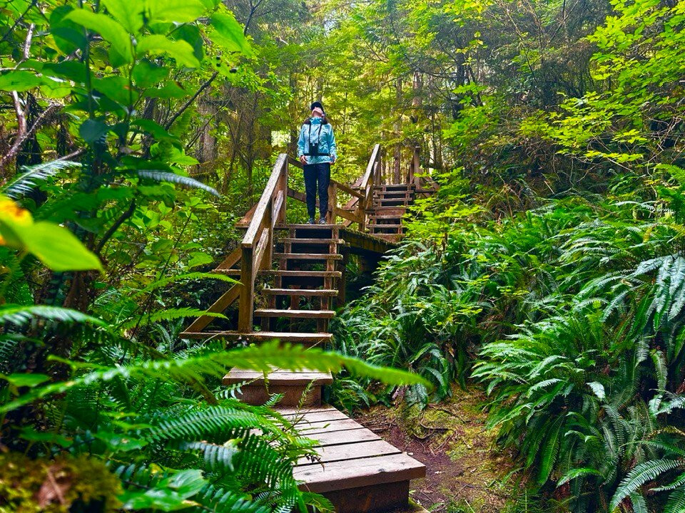 Rainforest Trail-托菲诺必去景点