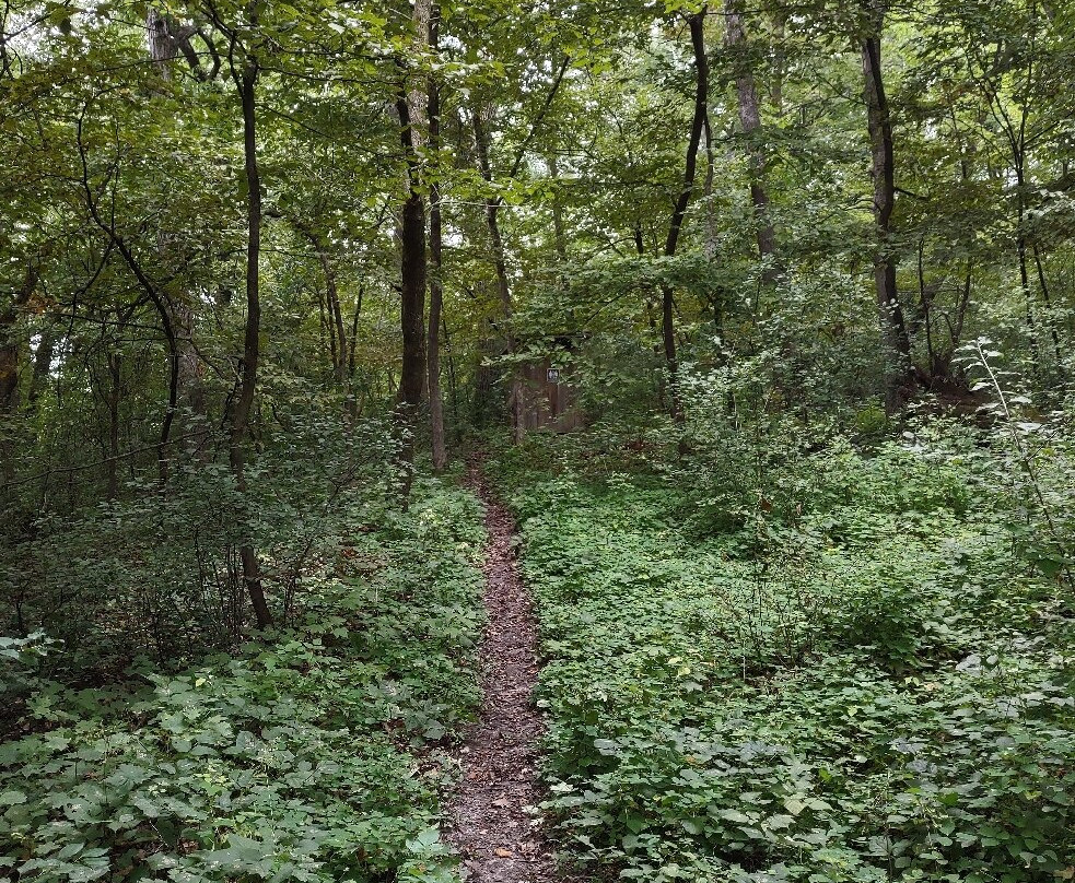 Lake Maria State Park-Monticello必去景点