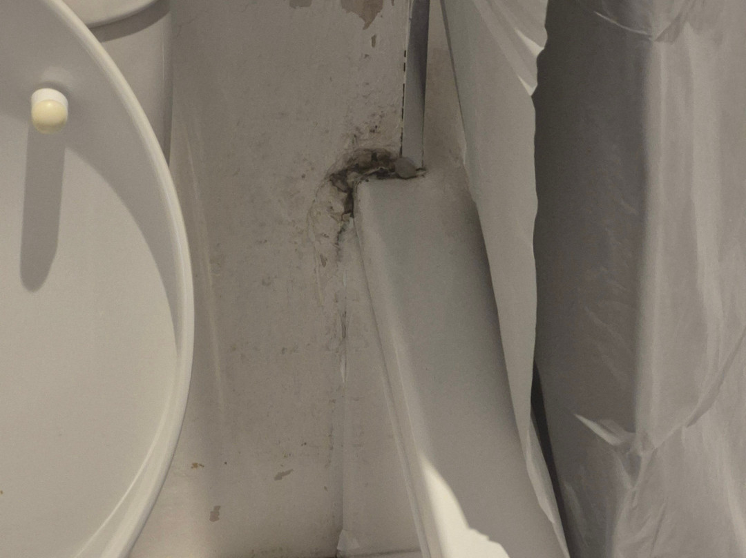 The Black Lion Royal Hotel主图