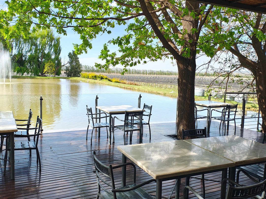 Bodega Piattelli Agrelo, Mendoza-阿格雷洛必去景点