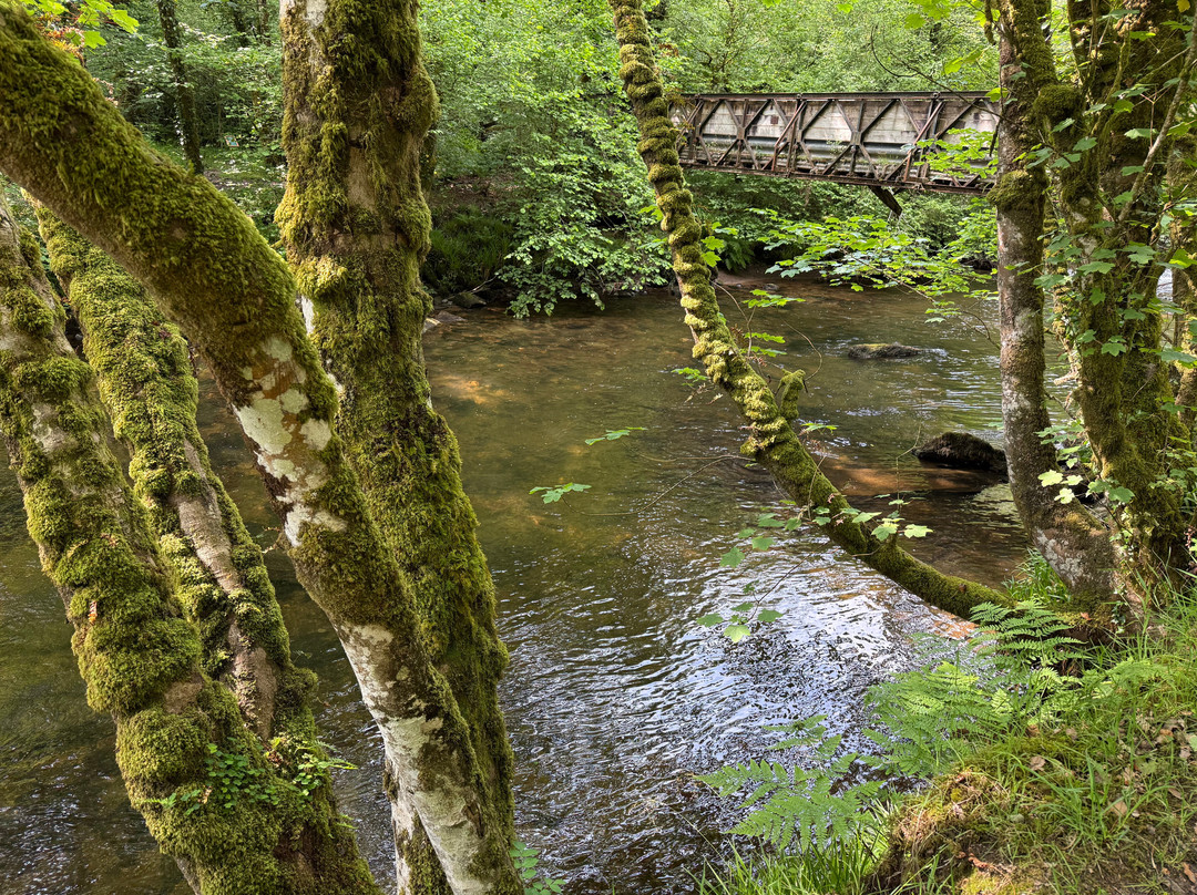 River Barle