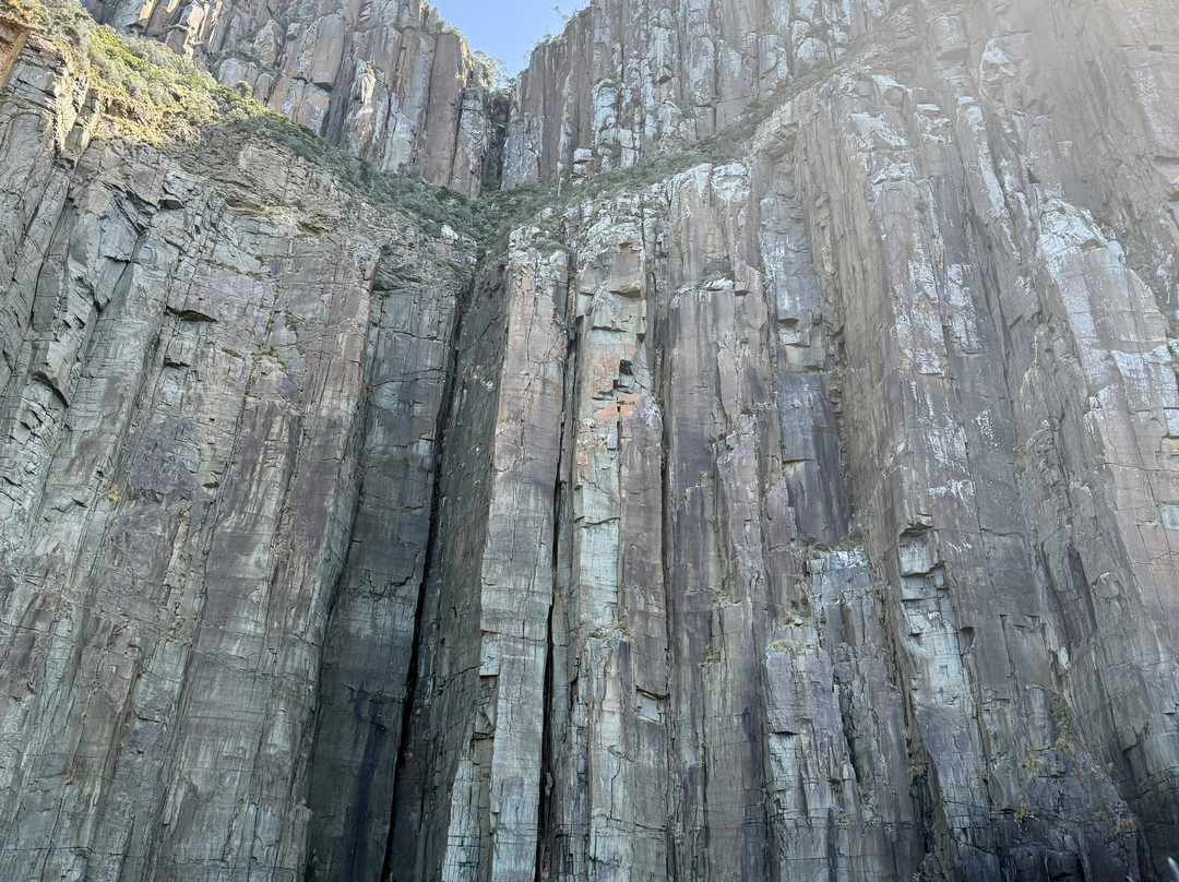 Bruny Island Cruises-霍巴特必去景点