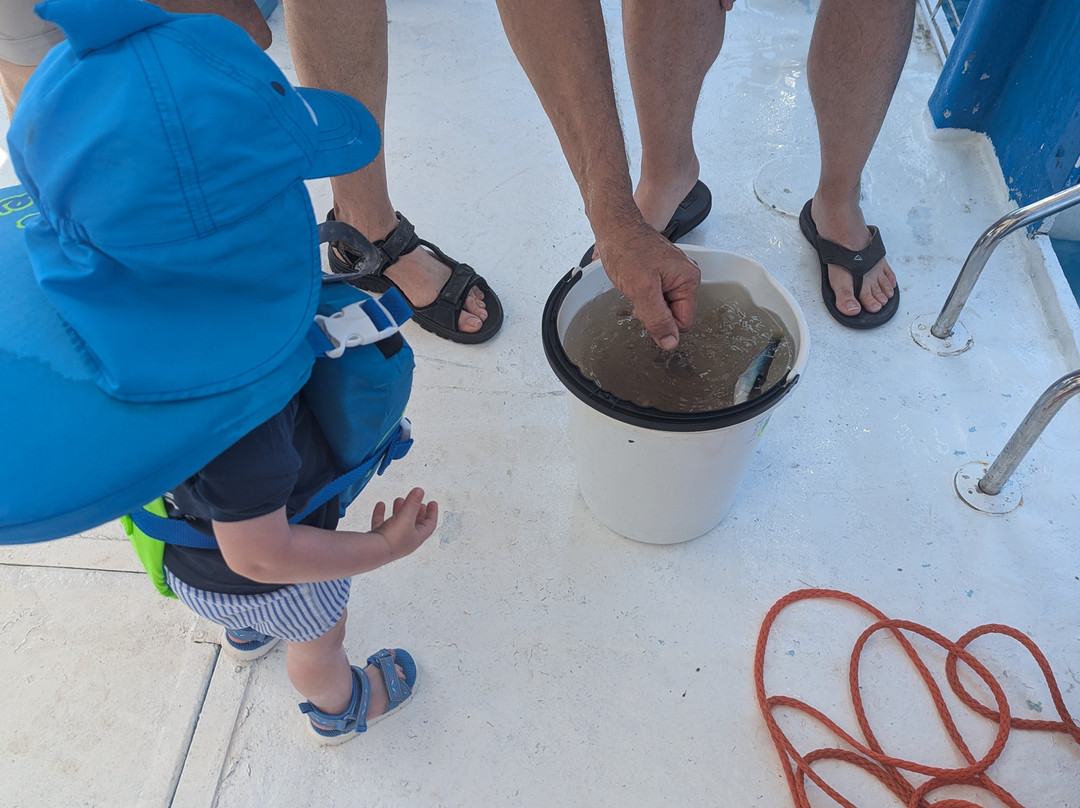 Jump pescaturismo-圣马尔盖里塔利古雷必去景点