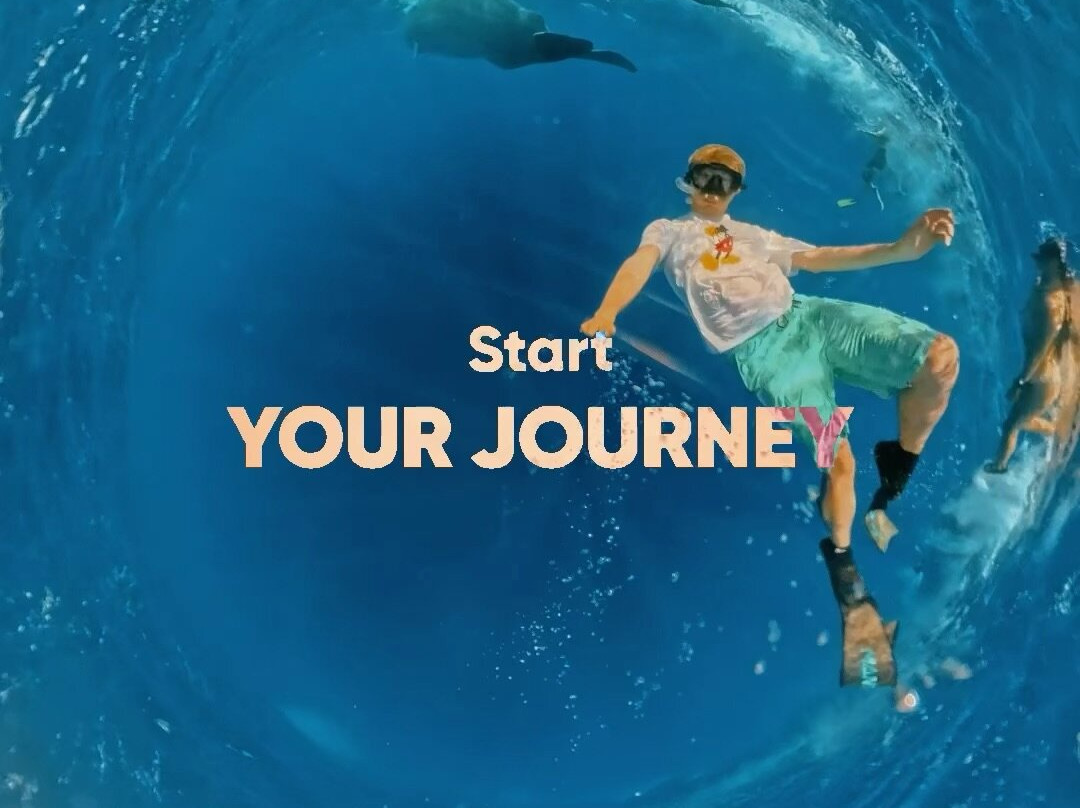 Whales Watching & Swimming With Dolphins In Mauritius-塔玛琳必去景点