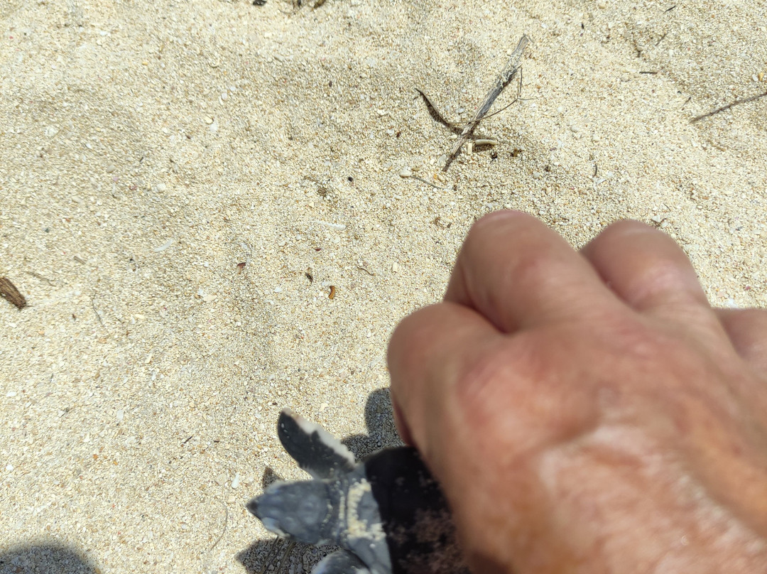 Namatours Viaggi Solidali-Toliara必去景点