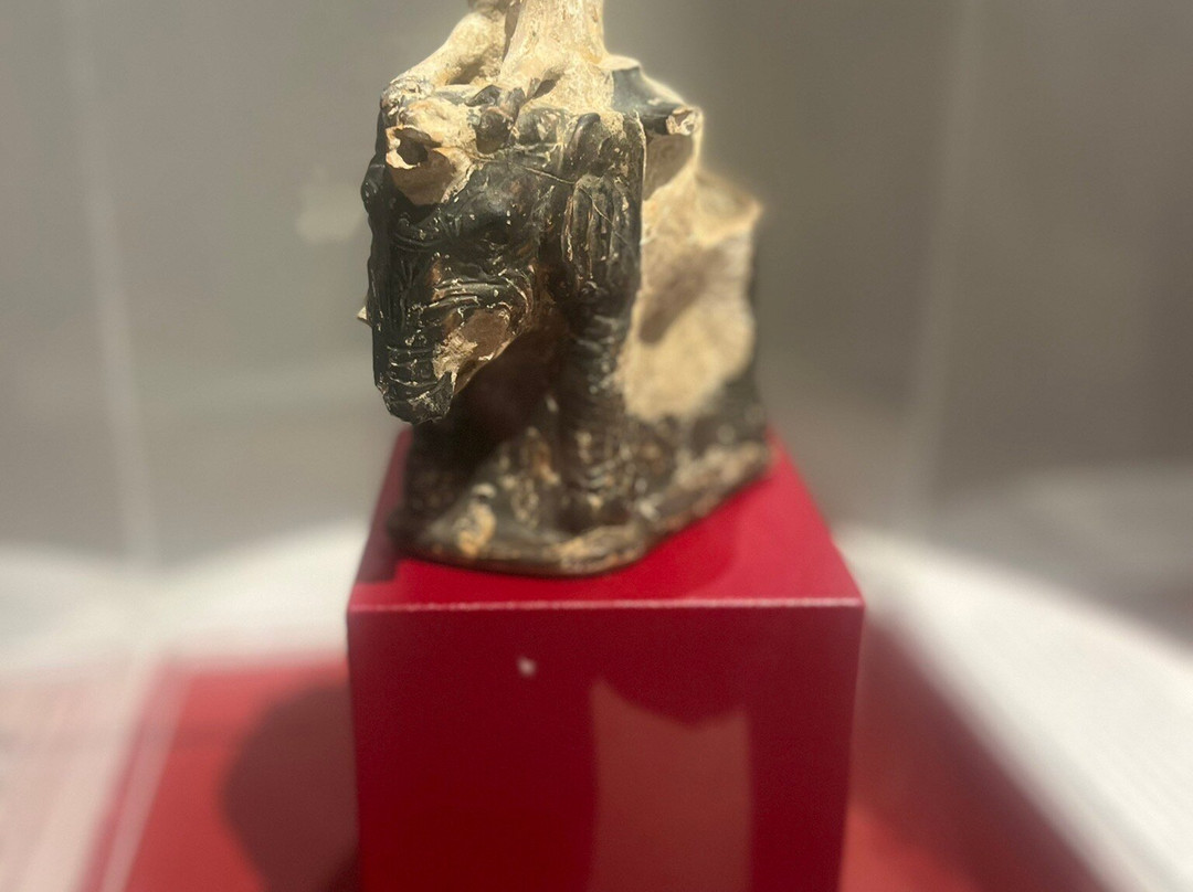 Museo Civico Archeologico-安济奥必去景点