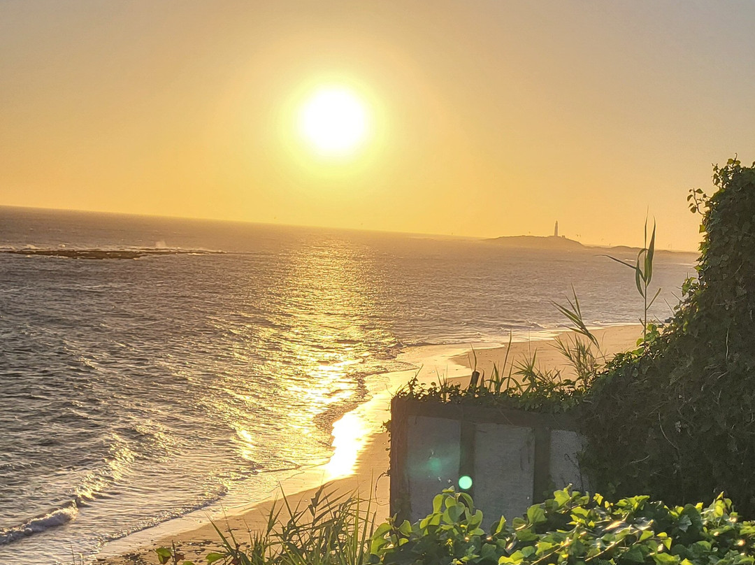 La Sirena del Viento