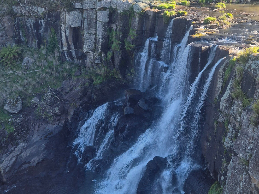 Ebor Falls Hotel Motel主图