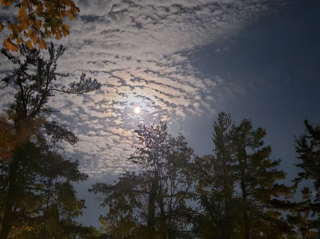 Pine Vista Resort主图