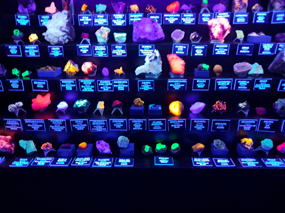 Museum of Luminescent Minerals and Painting Exhibition