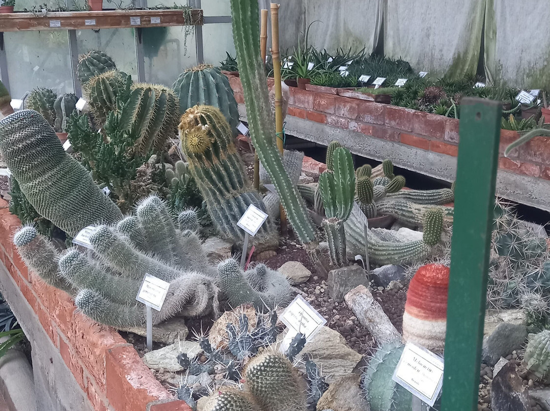 Giardino Botanico Rea-Trana必去景点