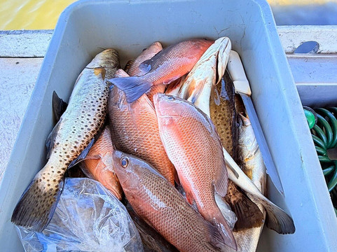 Boca Grande and Beyond-Boca Grande必去景点