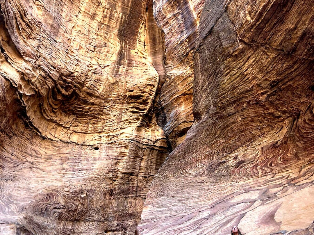 Dana Biosphere Reserve-Dana必去景点