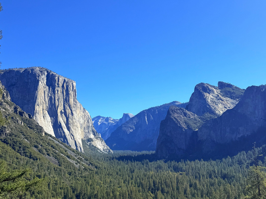 约塞米蒂发现之旅-奥克赫斯特必去景点