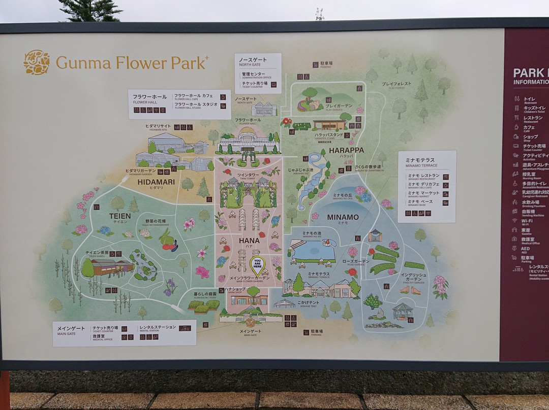 Gunma Flower Park-前桥县必去景点